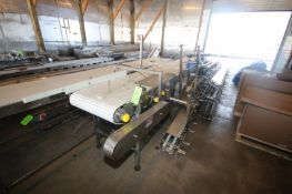 2-Sections of Straight Conveyor, with Aprox. 24