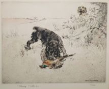 Henr. Wilkinson (Henry Wilkinson) Colour etching  Black spaniel retrieving a pheasant, signed in