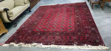 Eastern red ground carpet, the central field with elephant foot guls interspersed with hooked