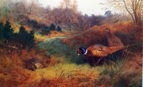 After Archibald Thorburn Pair colour prints of pheasants in landscape (2)