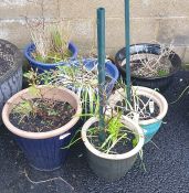 Seven assorted garden ceramic planters in blues and greens (7)