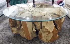 Coffee table, the glass top supported by root system which has grown around the rock, 110cm diameter