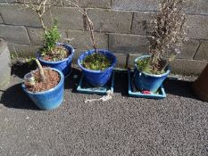 Four blue glazed planters (4)