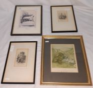 After Cecil Aldin Print 