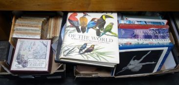 Two boxes of books to include Beatrix Potter titles, etc