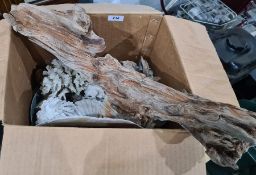 WITHDRAWN - A quantity of shells, drift wood etc