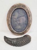 Curled horn snuff mull with metal lid and a silver-coloured oval mounted picture frame, unmarked