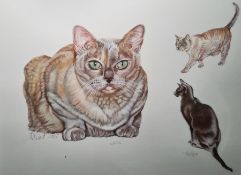 ? Dent  Watercolour drawing  Study of three cats, signed and dated 2005, 34.5cm x 46cm