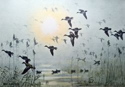 Peter Scott (mid 20th century)  Colour print  Geese in flight, signed in pencil to margin lower