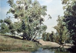 Watercolour drawing Woodland pool, signed indistinctly 'B With...' and dated 02, 35.5cm x 53cm