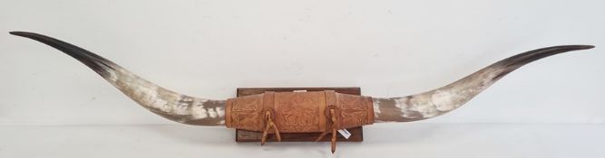 Pair of buffalo horns on plaque with embossed leather binding