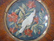 19th century circular woolwork embroidery depicting parrot amongst red hibiscus, in circular