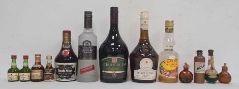 Selection of spirits and liqueurs including one bottle of Benedictine, a non-proprietary brand of