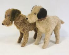 Mid twentieth century soft toy terrier dog with black ears and leather style collar and another