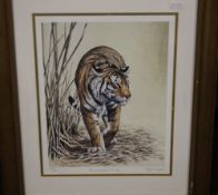 A FRAMED LIMITED EDITION PRINT OF A TIGER SIGNED STEPHEN GAYFORD, APPROX. 41 X 50 CM