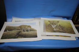 CHRIS CHRISTOFOROU - A COLLECTION OF LIMITED EDITION SIGNED PRINTS OF AFRICAN WILDLIFE