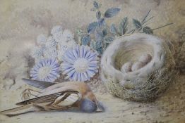 FREDERICK FLOCKTON (XIX). Still life study of flowers, birds nest and a dead bird in a mossy