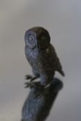 AN AUSTRIAN TYPE COLD PAINTED BRONZE OF AN OWL, H 4 cm