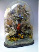 A VICTORIAN TAXIDERMY DISPLAY OF EXOTIC BIRDS PRESENTED UNDER A GLASS DOME, comprising a group of