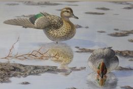 NICOLAS DIXON (XX). Study of two ducks in a rocky lakeshore scene, signed and dated 1987 lower left,