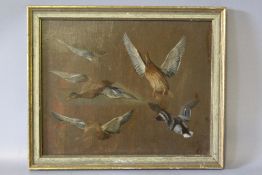 EDGAR HUNT (1876-1953). Studies of ducks in flight, unsigned, oils on canvas laid on card, 19 x 24