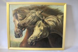 (XIX-XX). Study of three horses heads, unsigned, oil on canvas laid on board, framed, 48 x 60 cm