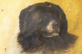 M. PERRY. Study of a Newfoundland dog, signed and dated 1905 lower right, oil on canvas, unframed,