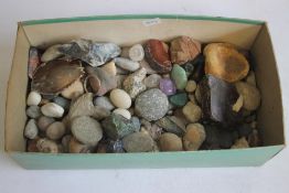 A COLLECTION OF FOSSILS AND ROCK SAMPLES, to include various polished stones and crystals