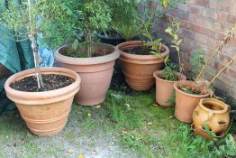 THREE LARGE PLASTIC PLANT POTS TOGETHER WITH THREE SMALLER CERAMIC EXAMPLES PLUS CONTENTS