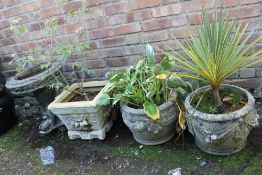 A FISH DESIGN BIRD BATH TOGETHER WITH TWO PLANTERS PLUS ANOTHER PLUS CONTENTS