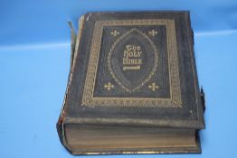 AN ILLUSTRATED FAMILY BIBLE