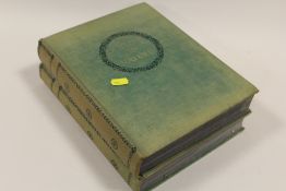 TWO VINTAGE OUTLINE OF NATURE BOOKS