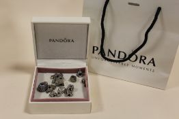 A BOX OF PANDORA BRACELET CHARMS