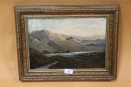 A GILT FRAMED OIL ON CANVAS DEPICTING A MOUNTAINOUS RIVER SCENE