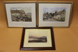 A PAIR OF GILT FRAMED AND GLAZED LIMITED EDITION STURGEON PRINTS TOGETHER WITH A SIGNED LIMITED