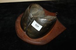 A TAXIDERMY OAK MOUNTED HOOF WALL HANGING