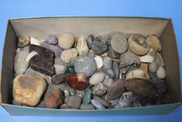 A BOX OF STONES, FOSSILS ETC.