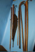 A QUANTITY OF WALKING CANES, UMBRELLA ETC.