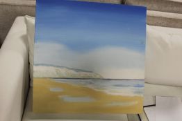 AN UNFRAMED OIL ON CANVAS DEPICTING SOUTH COAST CLIFFS BY SANDRA FRANCIS, SIGNED VERSO