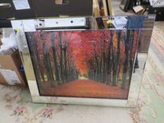 AN UNUSUAL MODERN MIRRORED WOODLAND PICTURE, 76 X 96 cm