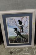 A FRAMED WATERCOLOUR DEPICTING MAGPIES BY GRAHAM JAMES COLBOURNE, INSCRIBED VERSO