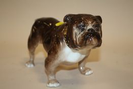 AN ALTON BONE CHINA FIGURE OF A BULL DOG
