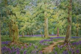A FRAMED AND GLAZED WATERCOLOUR ENTITLED 'BLUEBELLS IN AN OAK WOOD' BY F. ALAN WHITE