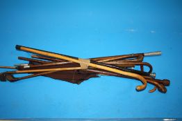 A COLLECTION OF WALKING STICKS ETC. TO INCLUDE A SILVER TOPPED WALKING CANE, SHOOTING STICK,