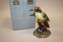 A BOXED ROYAL CROWN DERBY WOODPECKER FIGURE SIGNED K WOOD TO BASE