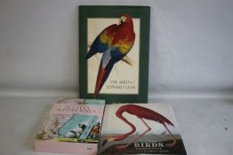 THE BIRDS OF EDWARD LEAR', 'A Selection of the 12 finest bird plates of the Artist' edited and