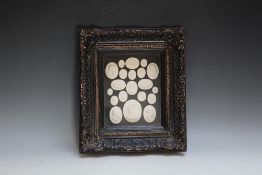 A MODERN FRAMED GRAND TOUR STYLE INTAGLIO DISPLAY, W 31 cm