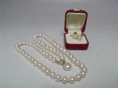 A SINGLE STRAND HAND KNOTTED CULTURED PEARL NECKLACE WITH 9CT GOLD CLASP, approx L 48 cm, together