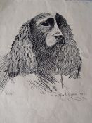 SCHOOL OF WILFRED OWEN (1893-1918). Study of a Spaniel, bears signature and date 1905 lower right,