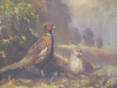 (XIX-XX). British school, male and female pheasants in a stormy wooded landscape, unsigned, oil on